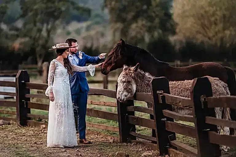 matrimonio en viña las araucarias