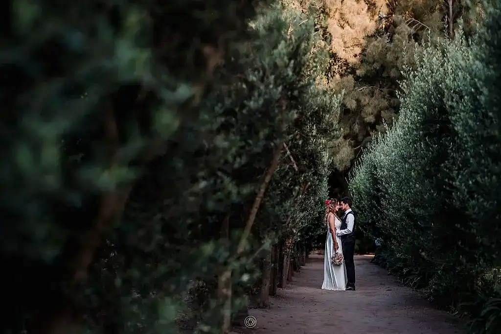 sesión de novios olivos del monte